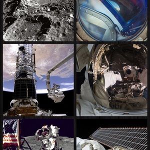 Meet your Posher, Zoey